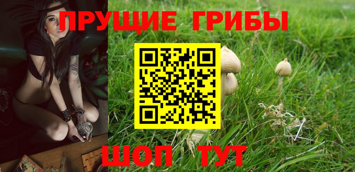 Галлюциногенные грибы мухоморы Донецк
