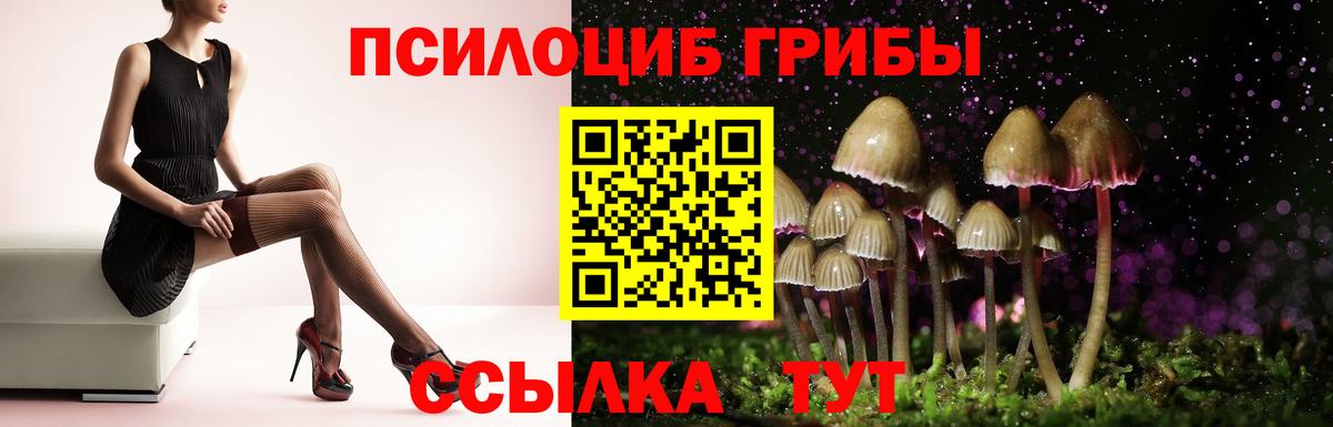 Псилоцибиновые грибы Psilocybe  Вход с VPN  Псилоцибиновые грибы мухоморы  Донецк 